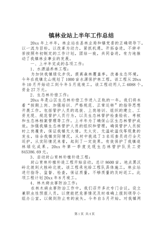 镇林业站上半年工作总结
