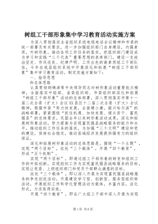 树组工干部形象集中学习教育活动方案