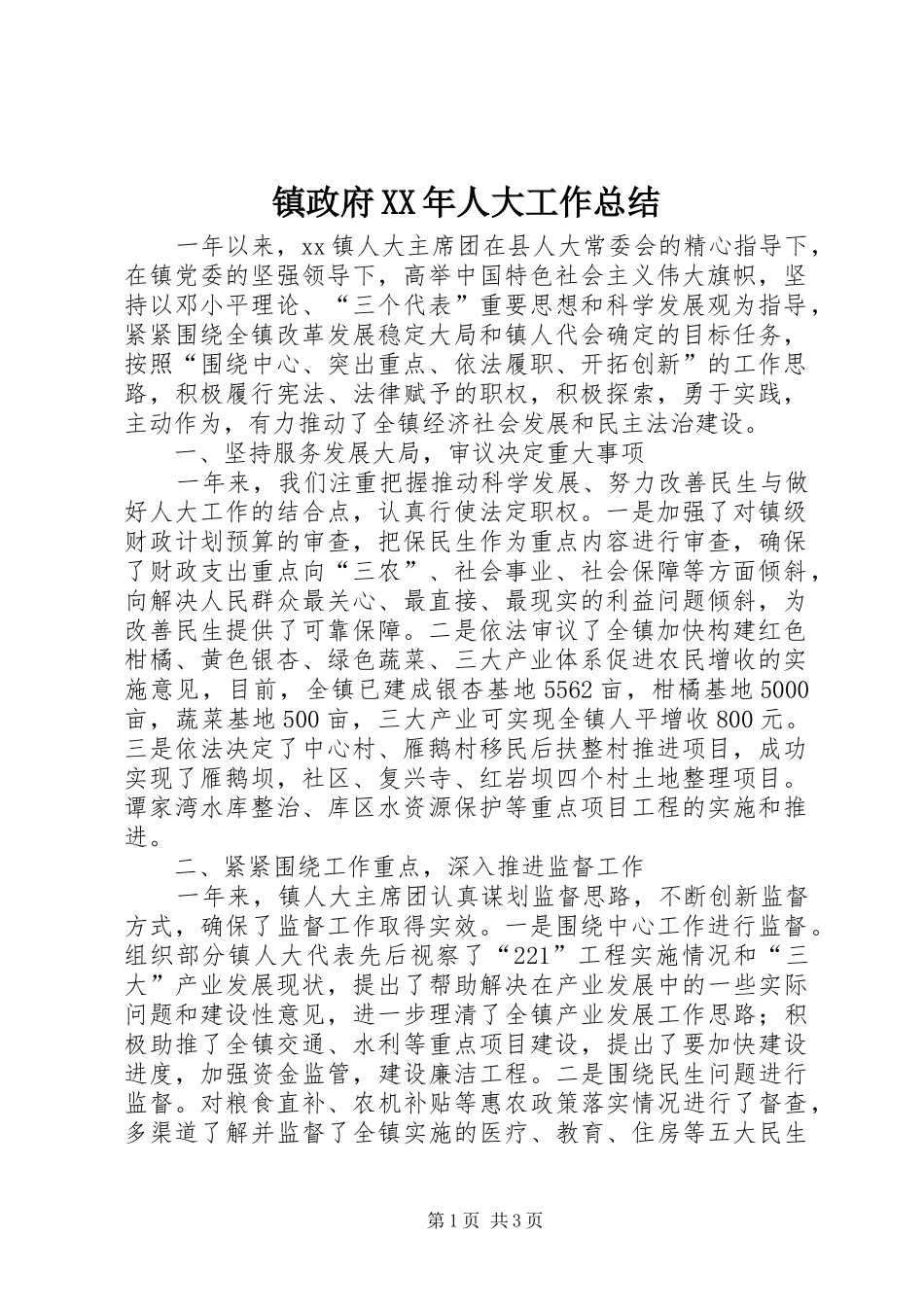 镇政府XX年人大工作总结_第1页