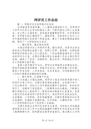 网评员工作总结