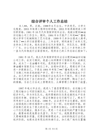 综合评审个人工作总结