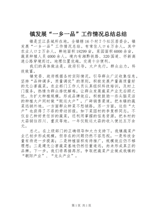 镇发展“一乡一品”工作情况总结总结