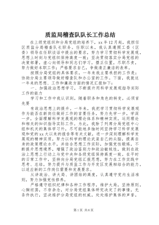 质监局稽查队队长工作总结