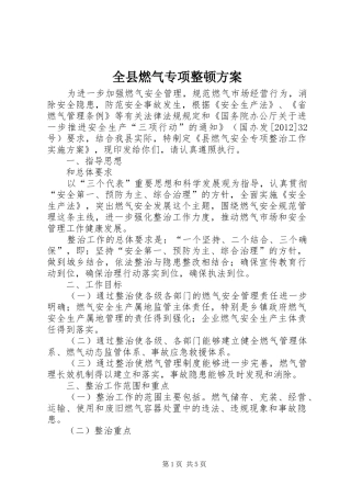 全县燃气专项整顿实施方案