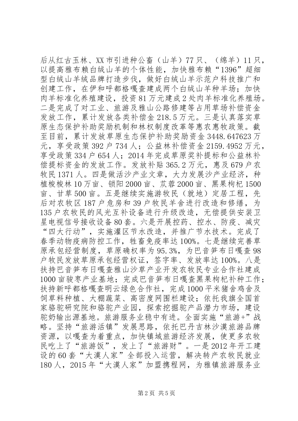 雅布赖镇人民政府工作总结_第2页