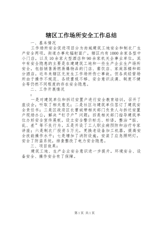 辖区工作场所安全工作总结