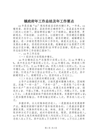镇政府年工作总结及年工作要点