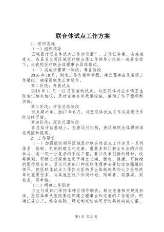 联合体试点工作实施方案