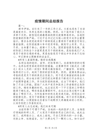 疫情期间总结报告