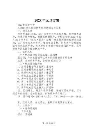 XX年元旦实施方案