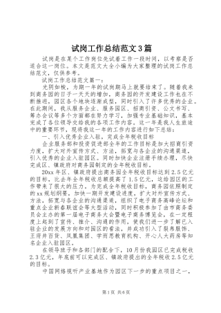 试岗工作总结范文3篇