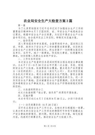 农业局安全生产大检查方案3篇