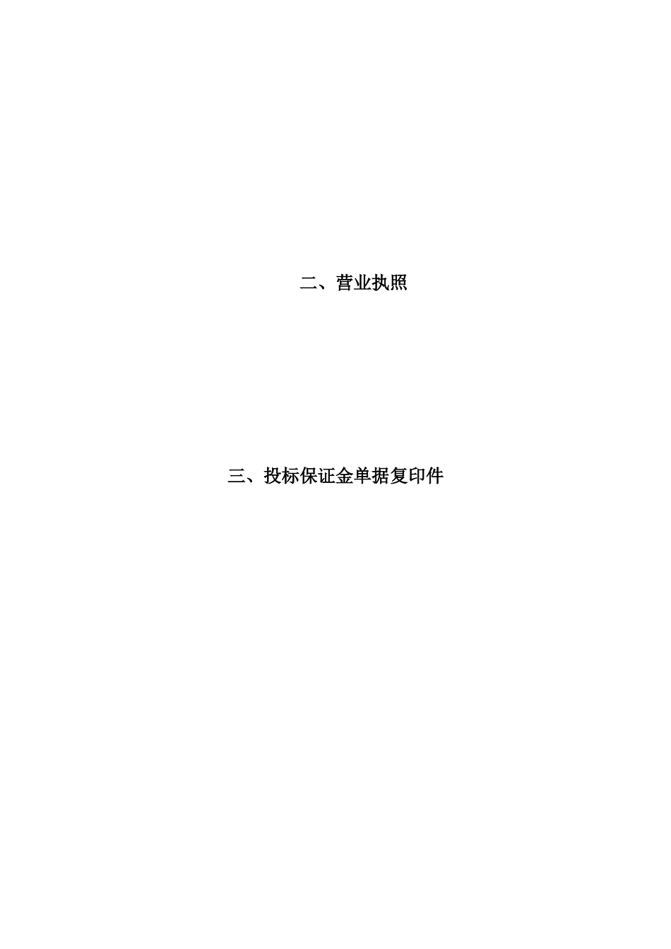XXXX年嘉兴港区市政道路保洁工程技术标_第2页