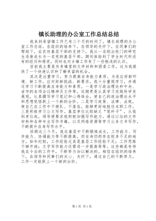 镇长助理的办公室工作总结总结