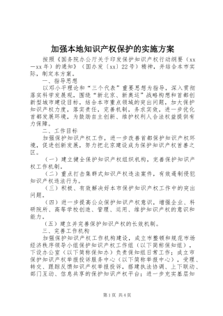 加强本地知识产权保护的方案