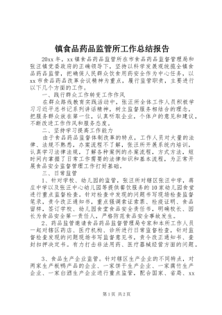 镇食品药品监管所工作总结报告