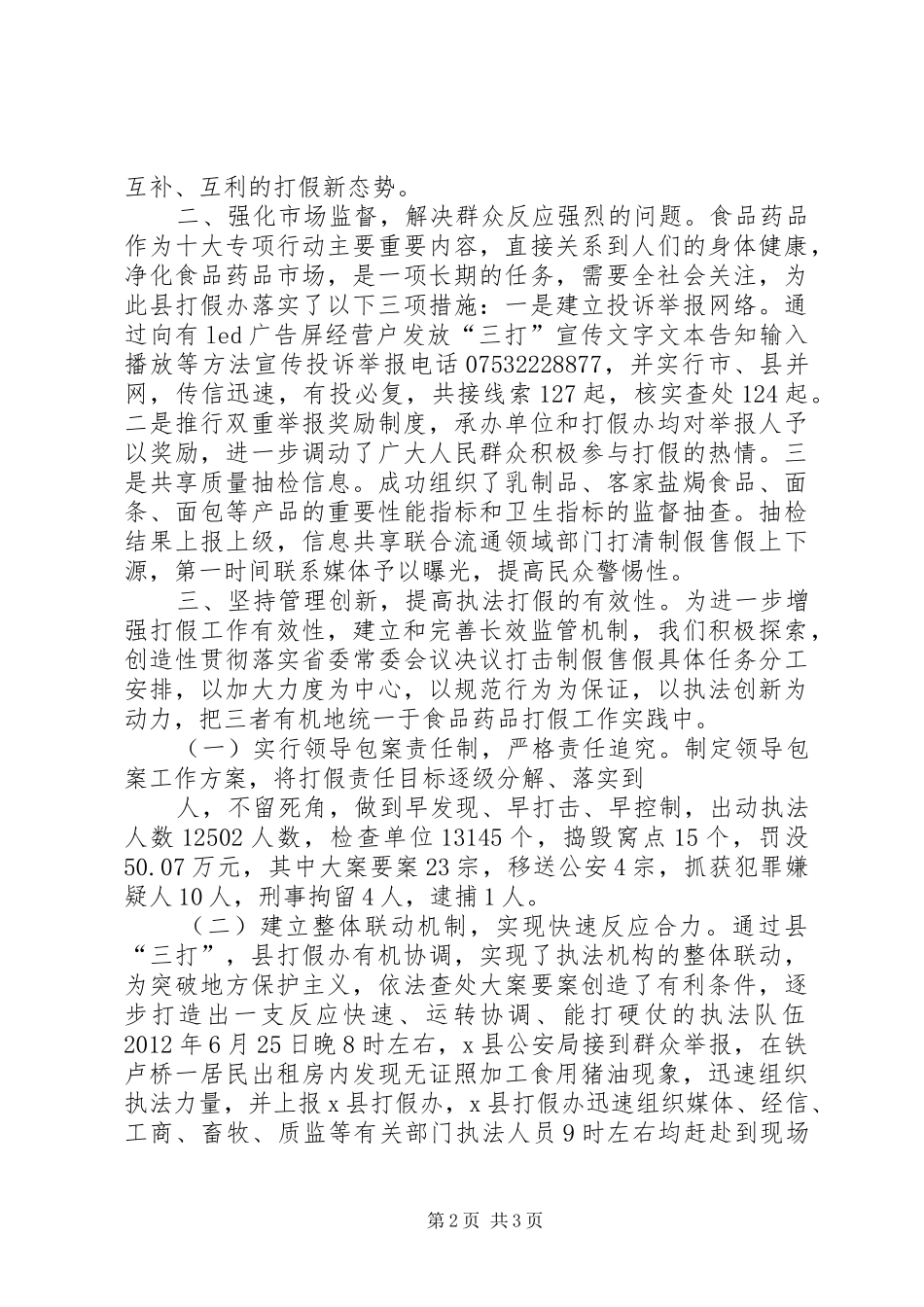食品药品打假工作总结_第2页