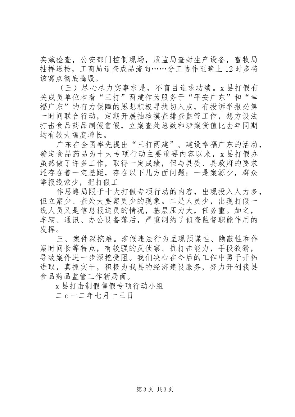 食品药品打假工作总结_第3页