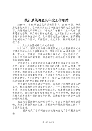 统计系统调查队年度工作总结