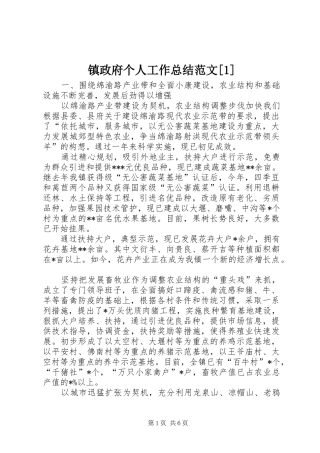 镇政府个人工作总结范文[1]