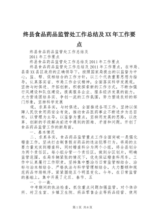 终县食品药品监管处工作总结及XX年工作要点