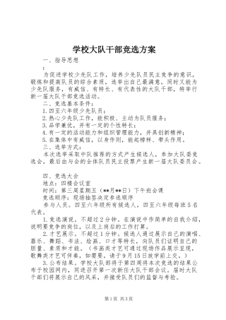 学校大队干部竞选实施方案