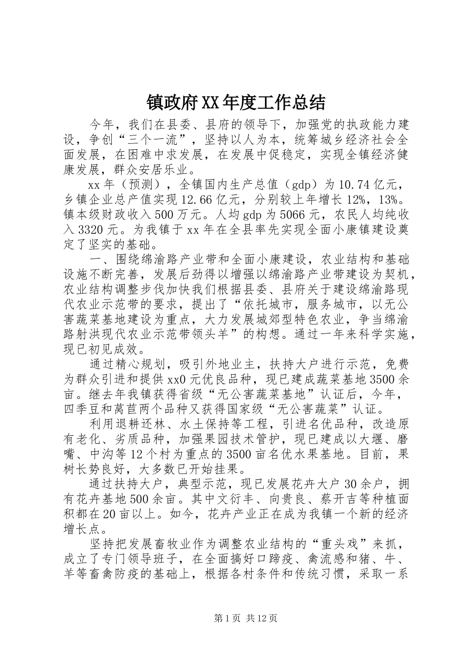 镇政府XX年度工作总结_第1页
