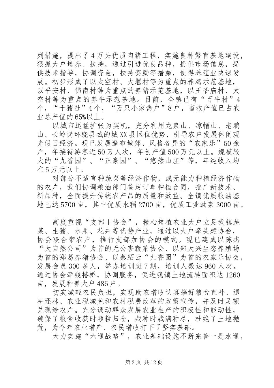 镇政府XX年度工作总结_第2页