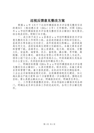 巡视反馈意见整改实施方案
