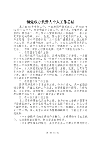 镇党政办负责人个人工作总结