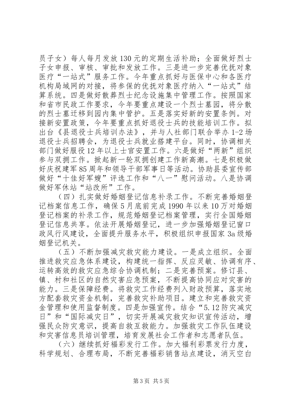全县民政服务工作方案_第3页