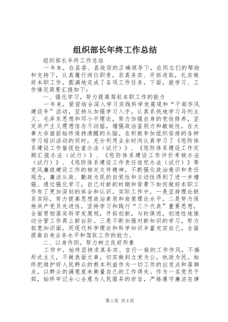 组织部长年终工作总结