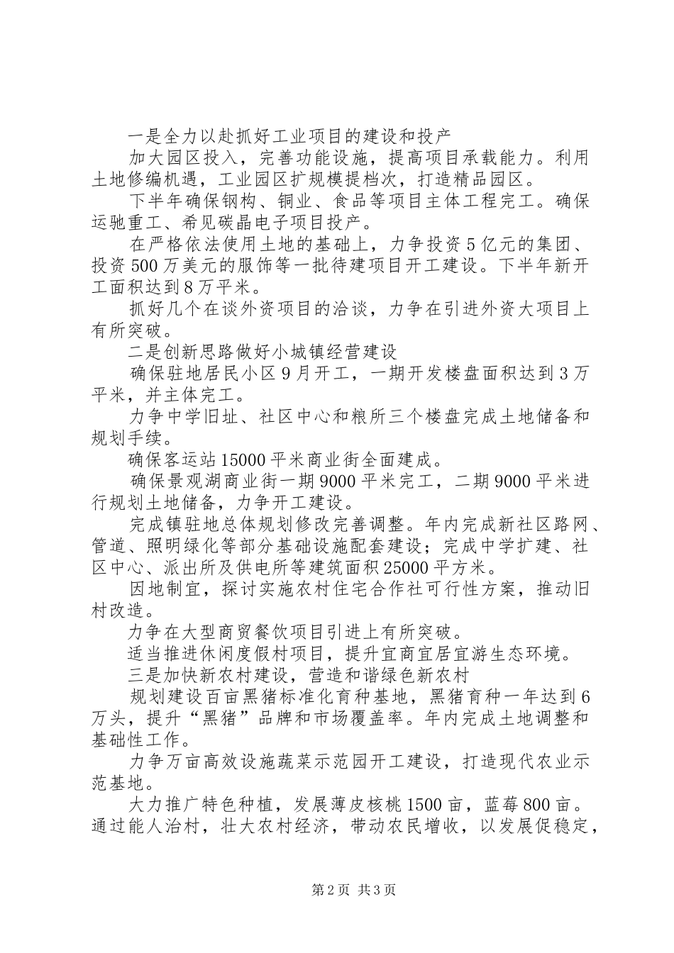 镇村年中工作总结及思路_第2页