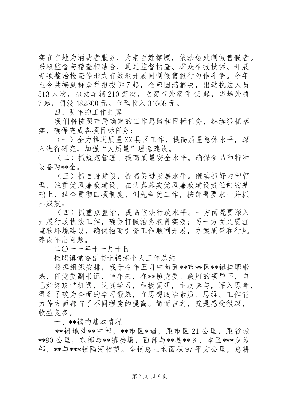 质监局副局长个人工作总结-副局长工作总结_第2页