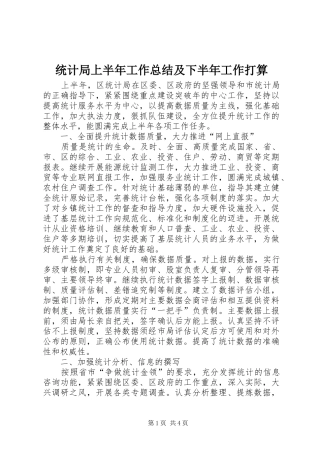 统计局上半年工作总结及下半年工作打算