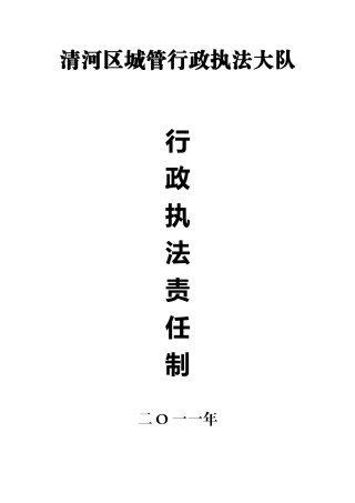 行政执法责任制全面推行依法行政工作