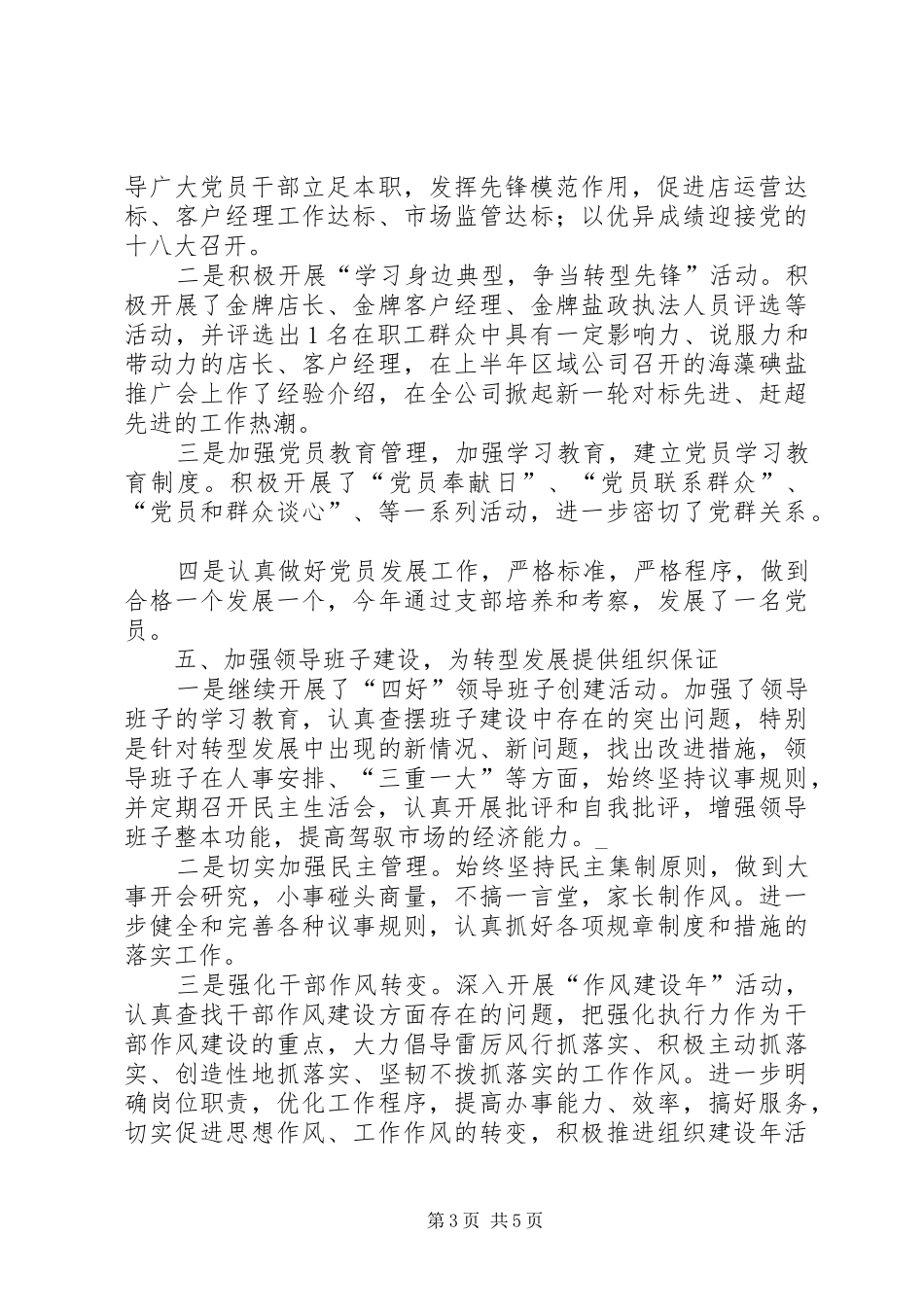盐业分公司支部工作总结_第3页
