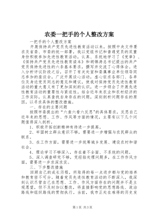 农委一把手的个人整改方案