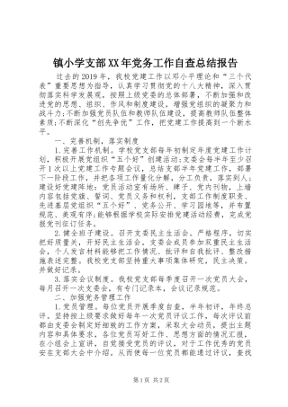 镇小学支部XX年党务工作自查总结报告