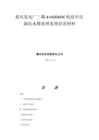 嘉兴发电厂二期4×600mw机组中压凝结水精处理系统培训材料