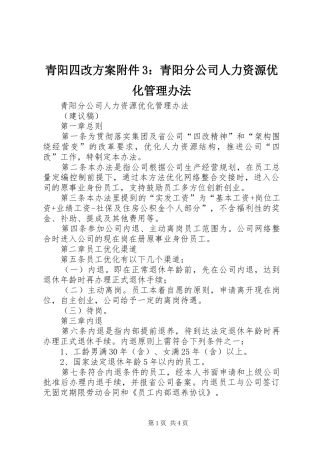 青阳四改方案附件3：青阳分公司人力资源优化管理办法
