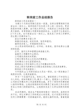 转岗前工作总结报告