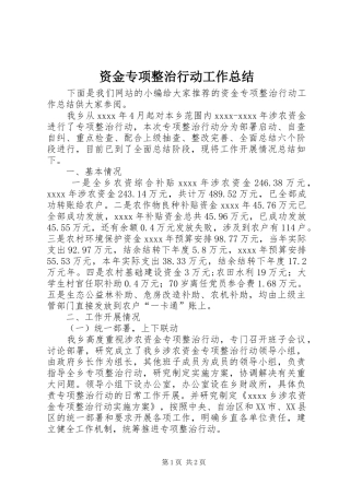 资金专项整治行动工作总结