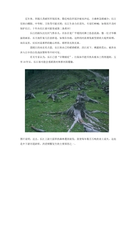 环境保护图片