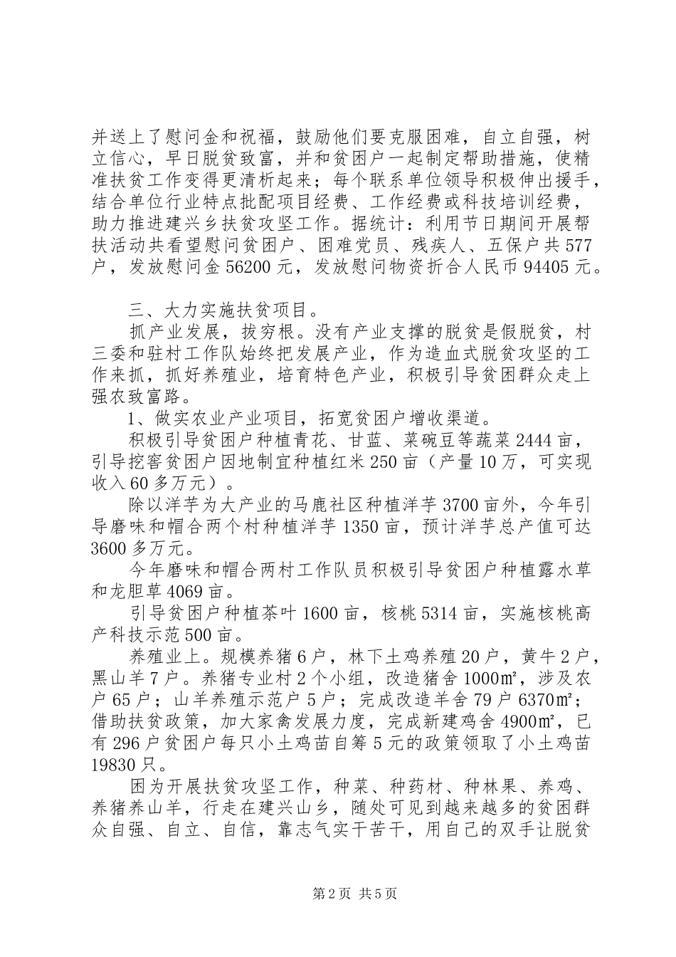 驻村工作队XX年精准扶贫工作总结_第2页