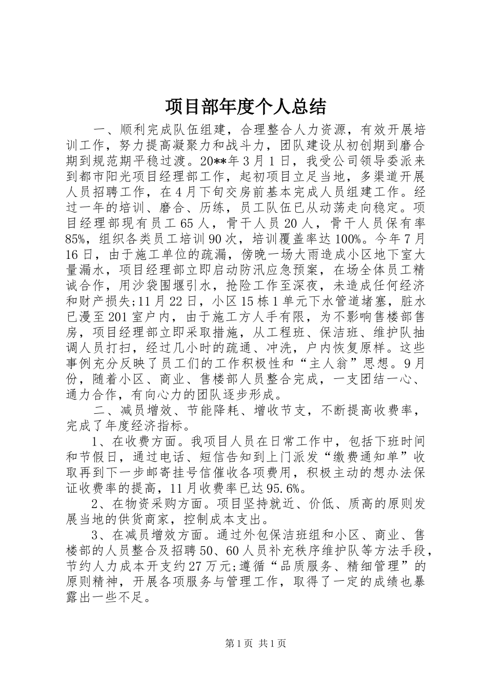 项目部年度个人总结_第1页