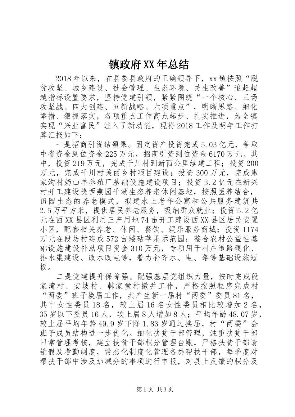 镇政府XX年总结_第1页