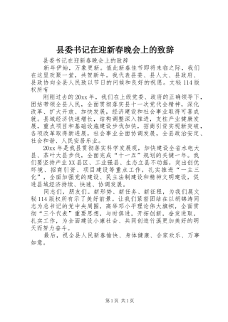 县委书记在迎新春晚会上的演讲致辞