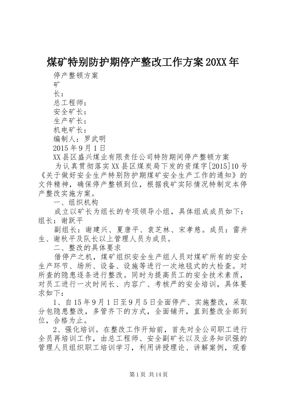 煤矿特别防护期停产整改工作方案20XX年_第1页