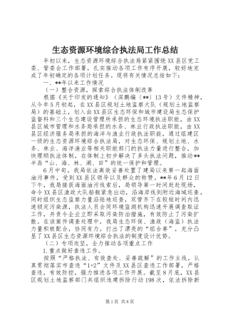 生态资源环境综合执法局工作总结